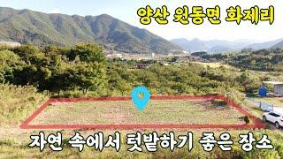 (매물번호 349)양산 원동면 화제리 시세보다 저렴한 텃밭으로 농사 시작하기!"