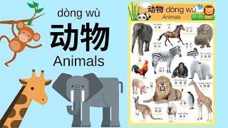 Learn Different Animals in Mandarin Chinese for Toddlers, Kids & Beginners | 动物