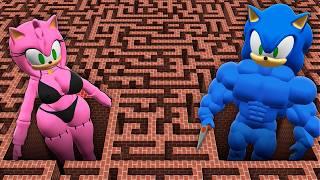 I found a STRONG SONIC vs AMY in Minecraft ! What's INSIDE the BIGGEST MAZE SONIC ?