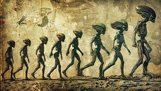 ¿Cómo influyeron los extraterrestres en nuestra evolución? | Documentales completos en español