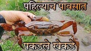 My First vlog | How do crabs catch | Crab Catching in village | khekde | chimbori recipe|