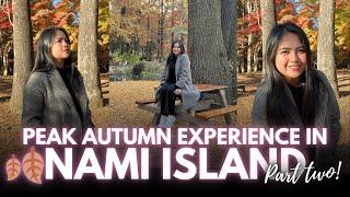 Full Day in Nami Island in Autumn  and Korean BBQ dinner at Hanam Pig!