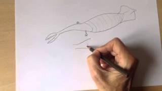 The Tully Monster