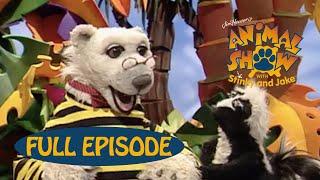 Animal Show | Wasp  / Blue-Footed Booby | Jim Henson Family Hub