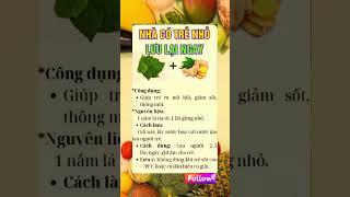 Bí Quyết Giữ Gìn Sức Khỏe Toàn Diện | Sức khỏe vàng #ChămSócSứcKhỏe #BảoVệSứcKhỏe #SốngKhỏeMỗiNgày