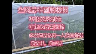 投资最少效果最佳的过冬暖棚搭建方法