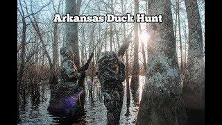 Duck hunting in Stuttgart Arkansas. From flooded fields to flooded timber we chased birds all over