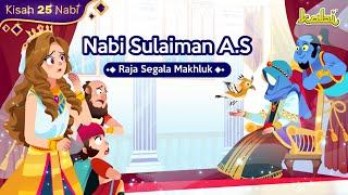 Kisah Nabi Sulaiman - Raja Segala Makhluk | Kisah Nabi | Cerita Islami | Pendidikan Anak Muslim