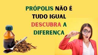 NEM TODO PRÓPOLIS É IGUAL: DESCUBRA OS DIFERENTES TIPOS