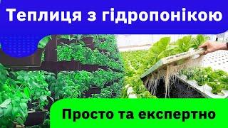 Теплиця з гідропонікою приносять прибуток