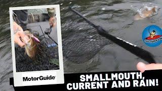 Smallmouths, Current and Rain! #fishing #bassfishing #fishingvideo