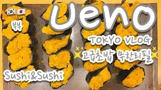 Tokyo Life l Ueno all-you-can-eat Sushi, Ameyoko market, Ueno park walk, Seiyoken Cafe. 【Multi-sub】