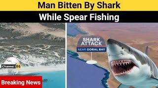 Man bitten by shark while spear fishing - australia news update - Channel 86 Australia