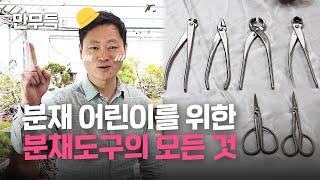 01. 분재 초보를 위한 1만 원짜리 분재가위가 있다? l 분재도구 기초편