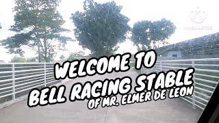 WELCOME TO BELL RACING STABLE! MAY NAKITA AKONG NAPAKA GANDANG KABAYO WATCH TILL THE END!