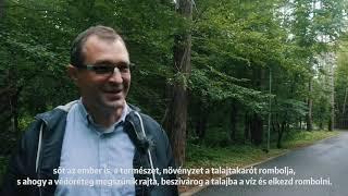 Erdély legjei – Szilágy megye: a Sárkányok kertje