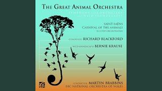 The Great Animal Orchestra Symphony: I. Introduction and Tuning