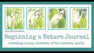 Beginning a Nature Journal