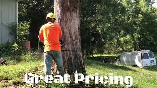 Trufast Tree Service