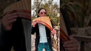 Si No Te Hubieras Ido - Cover #panflute #flute #subscribe #beautiful #marcoantoniosolís #Cover