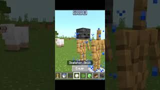 Wait for end  #shorts #minecraft #gaming