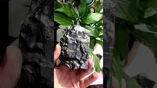 Elite shungite!!#karelia