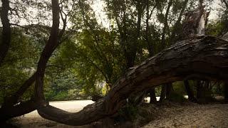 Nestos River  Region of Eastern Macedonia Thrace G