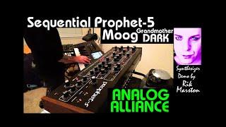 Sequential Prophet 5 Moog Grandmother Dark Analog Alliance Synthesizer Rik Marston