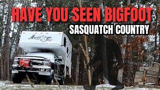 My Bigfoot Encounter: Answering Your Most Asked Question