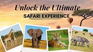 Ultimate African Safari Guide: Best Time, What to Pack, and Must-See Spots