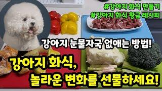 강아지 화식 후 놀라운 변화! 강아지가 반드시 먹여야 할 채소, 강아지 눈물자국 없애기! #강아지화식 #강아지야채 #강아지채소 【#짱아까미화식 14번째 이야기】