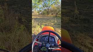 #shorts #pov Koszenie nieużytków zarośli traktorem Mowing wasteland bushes with a POV tractor POV