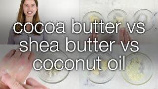 Cocoa Butter vs. Shea Butter vs. Coconut Oil: How are they different?