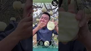 Farm fresh ninja fruit cutting #52 | Ly Chynh St  #shorts