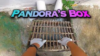 *New* Pandora's Box on the Ground?