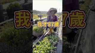 醫能「千歲團」想報名世壯運，你說行不行？#shorts #醫能好物市集 #世壯運