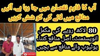 How to get farm into profit II Farm profit me lany ky tareeqay II Farm loss to farm profit