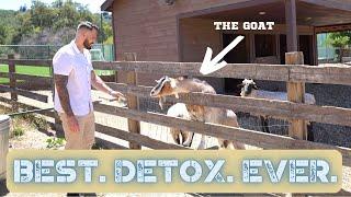 Heartwood Detox Brand Video