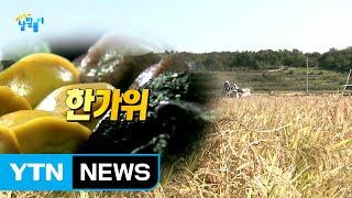 더도 말고 덜도 말고 '한가위'만 같아라 / YTN (Yes! Top News)