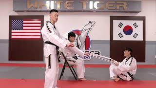 Episode 5 | Self Defense | JH Kim's WHITE TIGER MARTIAL ARTS