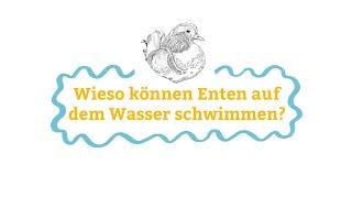 Lernvideo: Wie schwimmen Enten