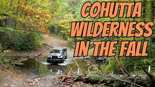 Cohutta Wilderness in the fall in my Jeep Gladiator Mojave!