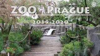 PRAGUE ZOO - 2020