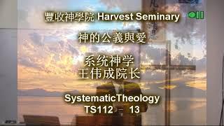 TS112   13 系统神学 1 Systematic Theology 1 王伟成院长 讲道解经 豐收神學院