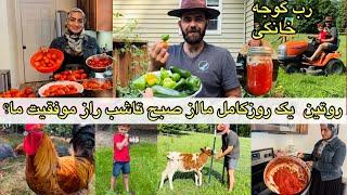 روتین یک روزکاری من وشوهرم|چگونه به کارهاو مسوولیت های زندگی ومزرعه رسیدگی میکنیم؟درست کردن رب خانگی