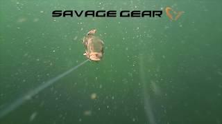 Savage Gear 4D Line Thru Pike