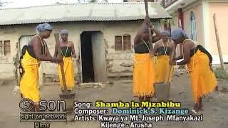SHAMBA LA MIZABIBU BY DOMINICK KIZANGE KWAYA YA MT.JOSEPH MFANYAKAZI  PAKORIA YA WAT.PETRO NA PAULO