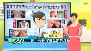 流汗學問大 出汗部位和你的健康有很大的關係？健康2.0 20160814 (完整版)