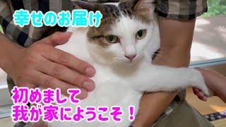 【幸せのお届け】初めて猫を迎えるご家族が成猫を選んだ理由は？