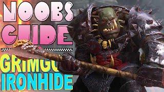 NOOB'S GUIDE TO GRIMGOR IRONHIDE